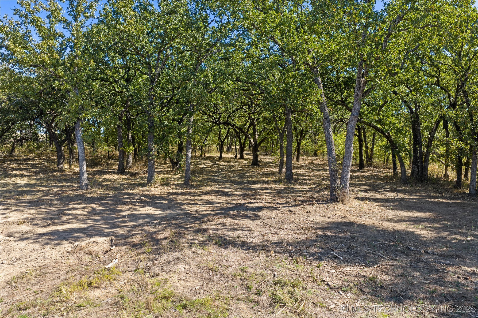 004 Cactus Lane Property Photo 7