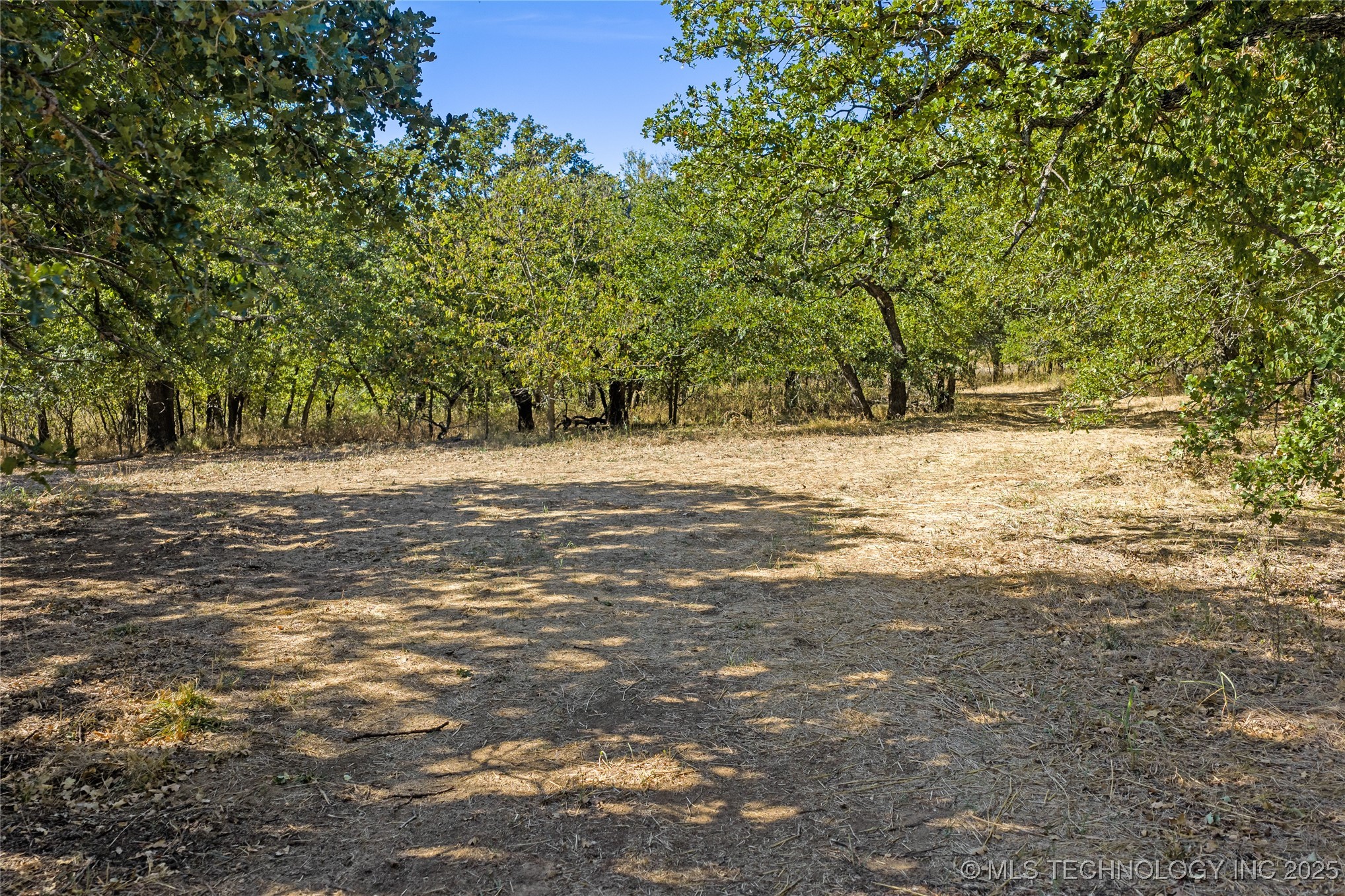 004 Cactus Lane Property Photo 9