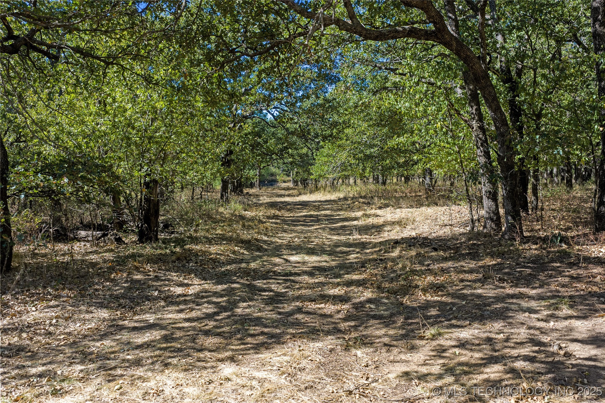 004 Cactus Lane Property Photo 10