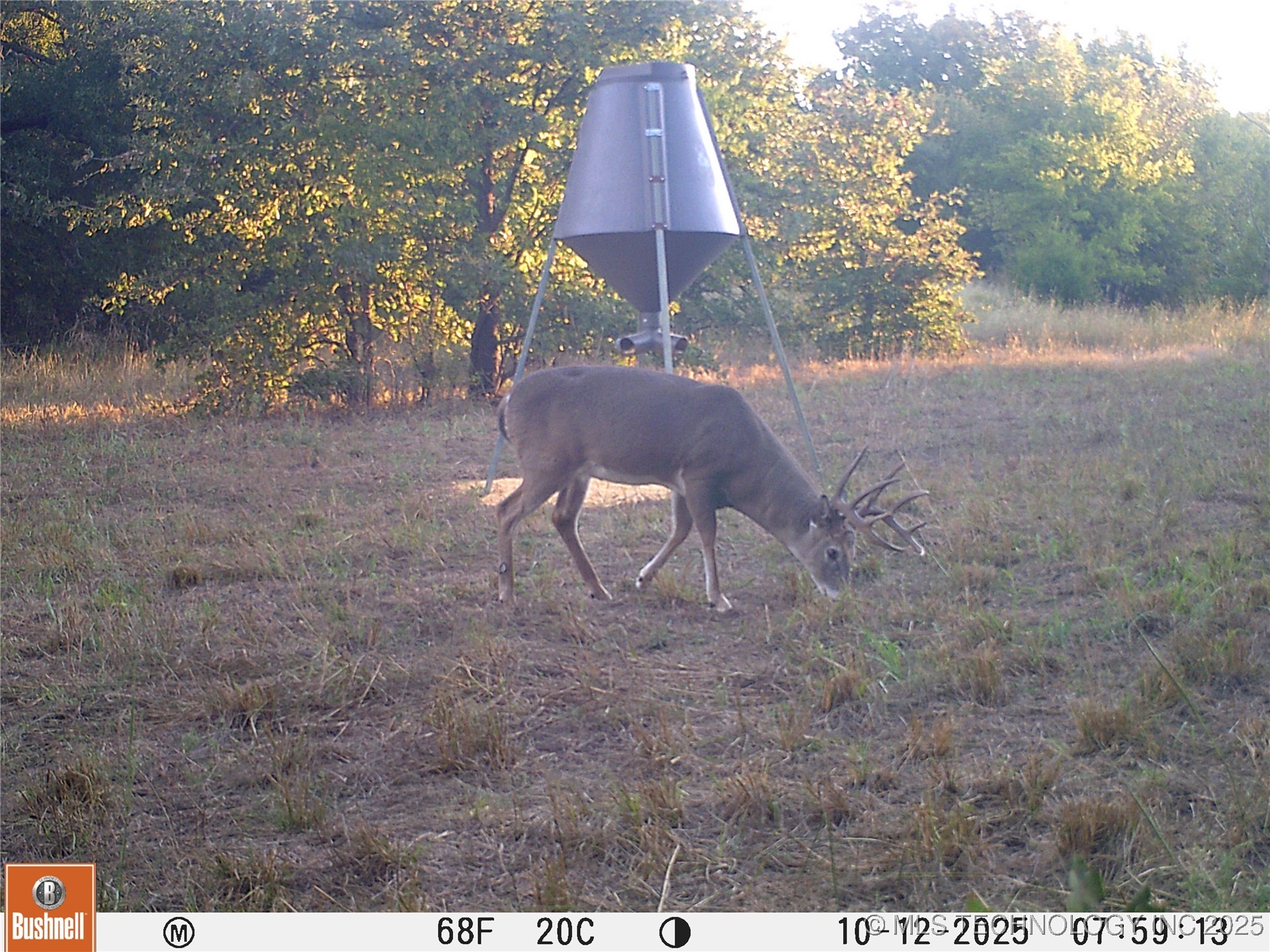 004 Cactus Lane Property Photo 11