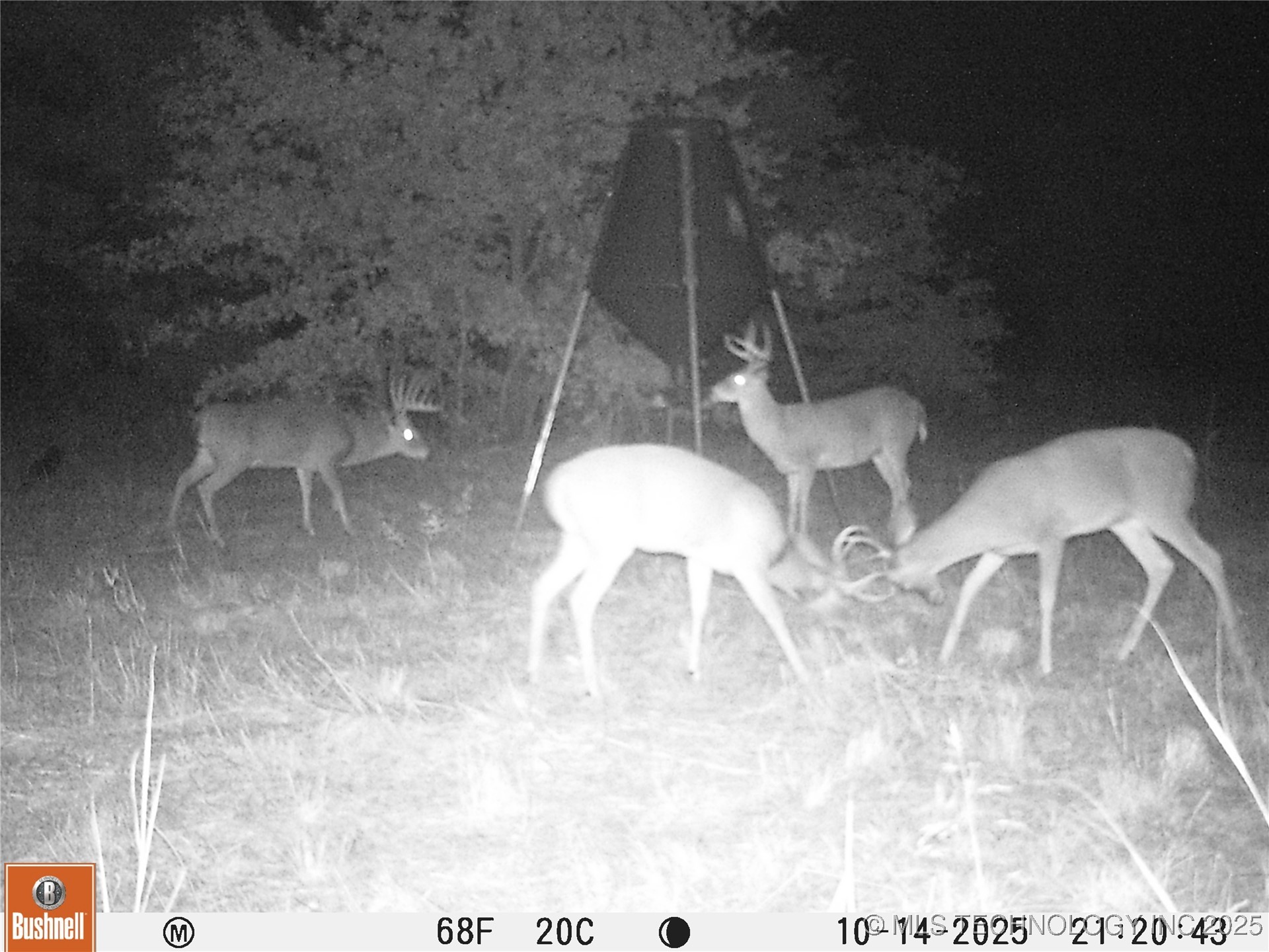 004 Cactus Lane Property Photo 12