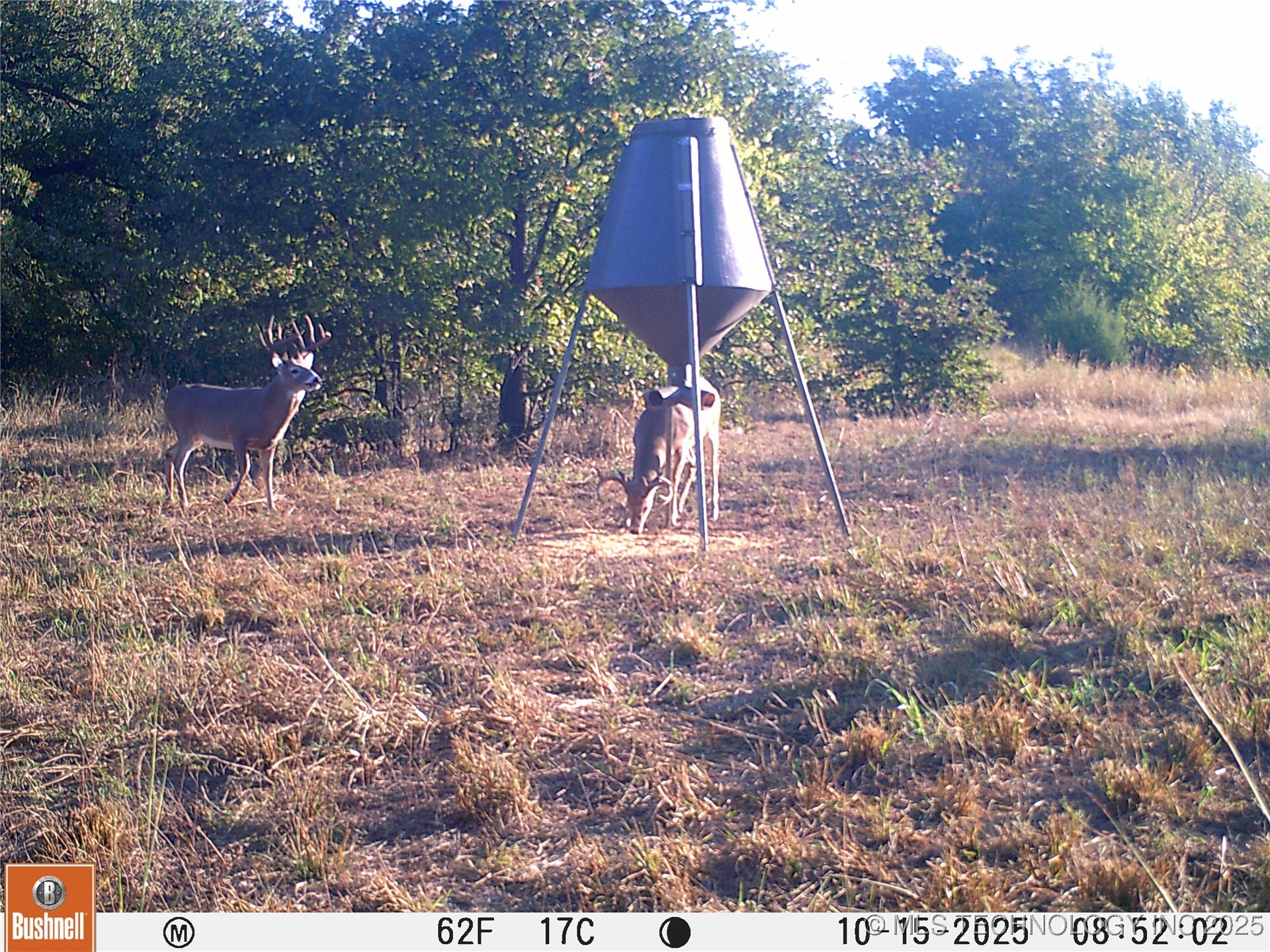 004 Cactus Lane Property Photo 13
