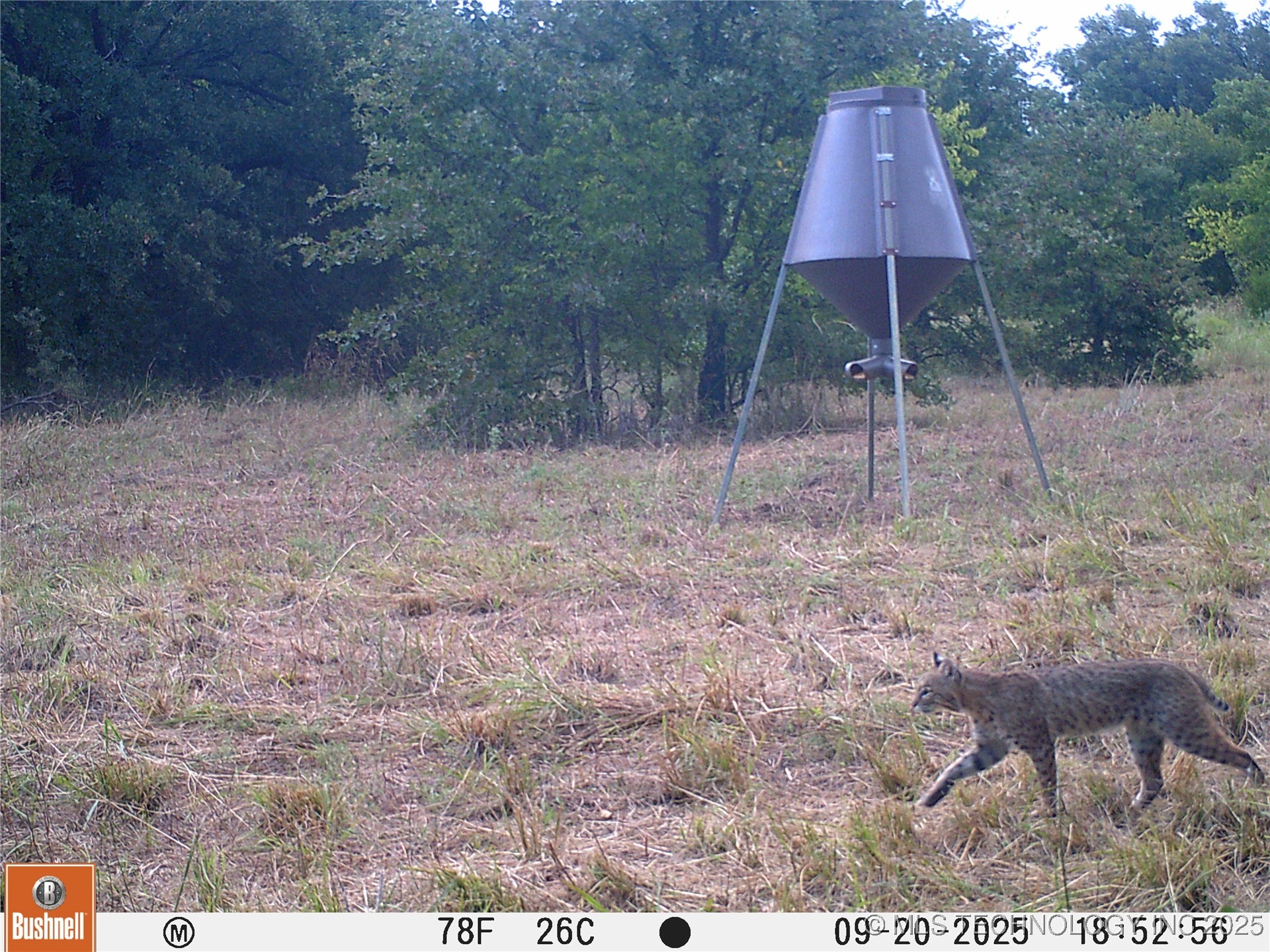 004 Cactus Lane Property Photo 14