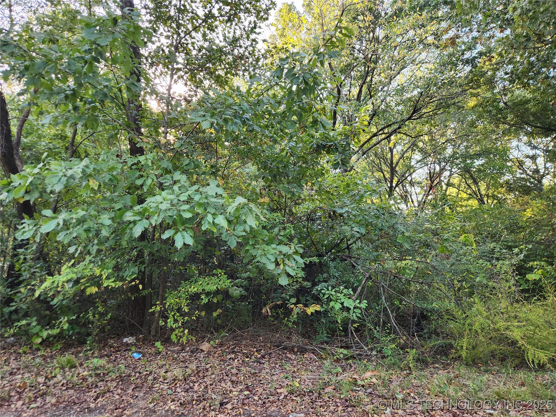 Lakeview Drive Property Photo 1