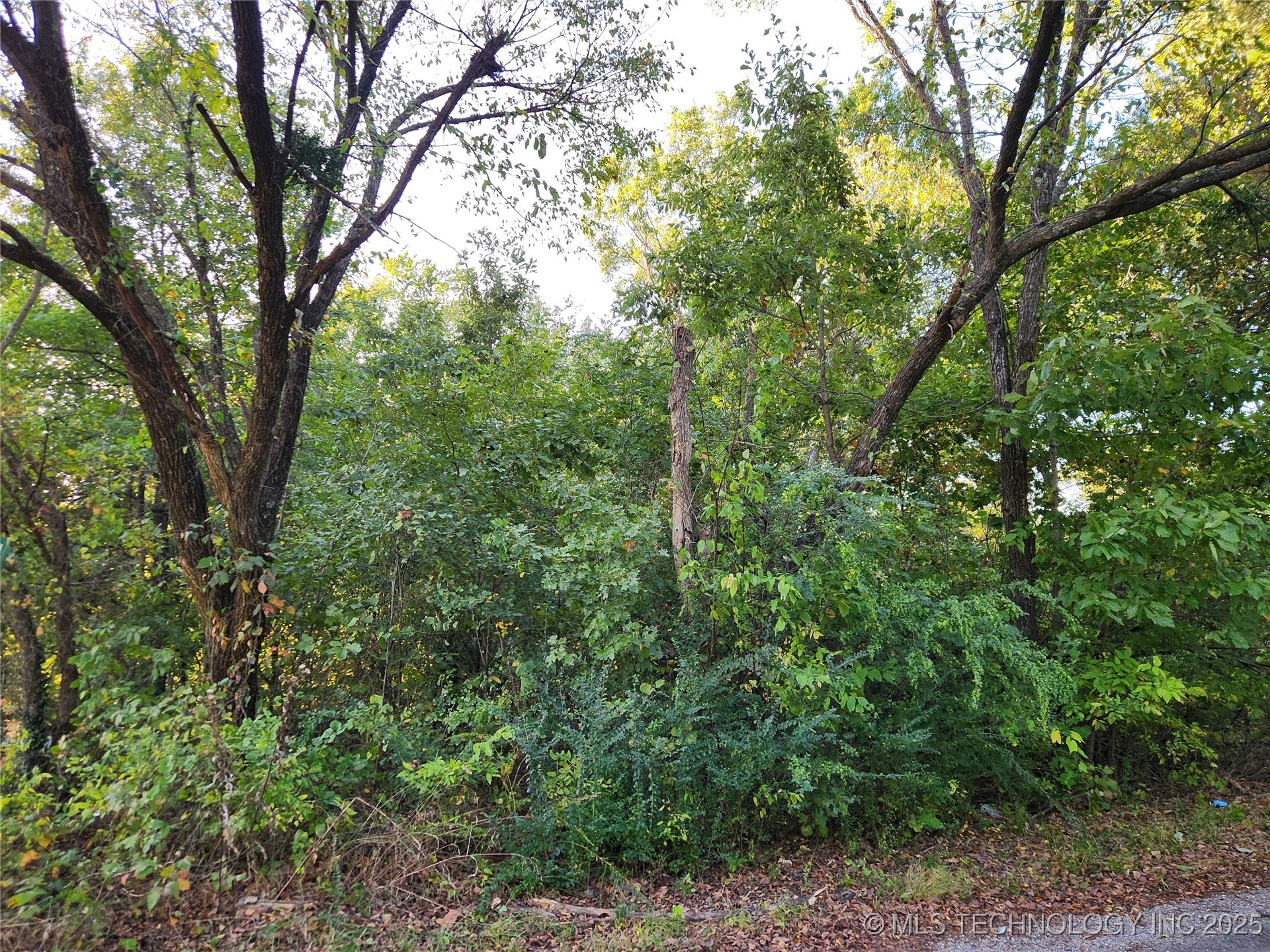 Lakeview Drive Property Photo 2