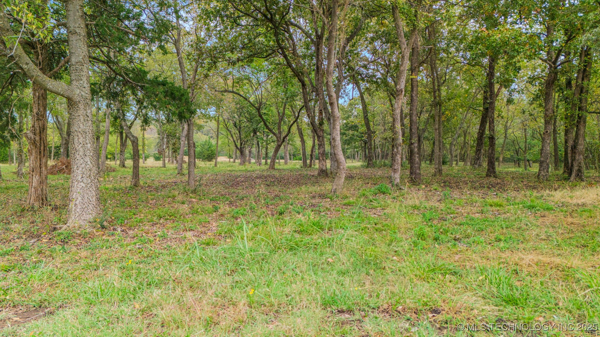 69 W 53rd Street Property Photo 14