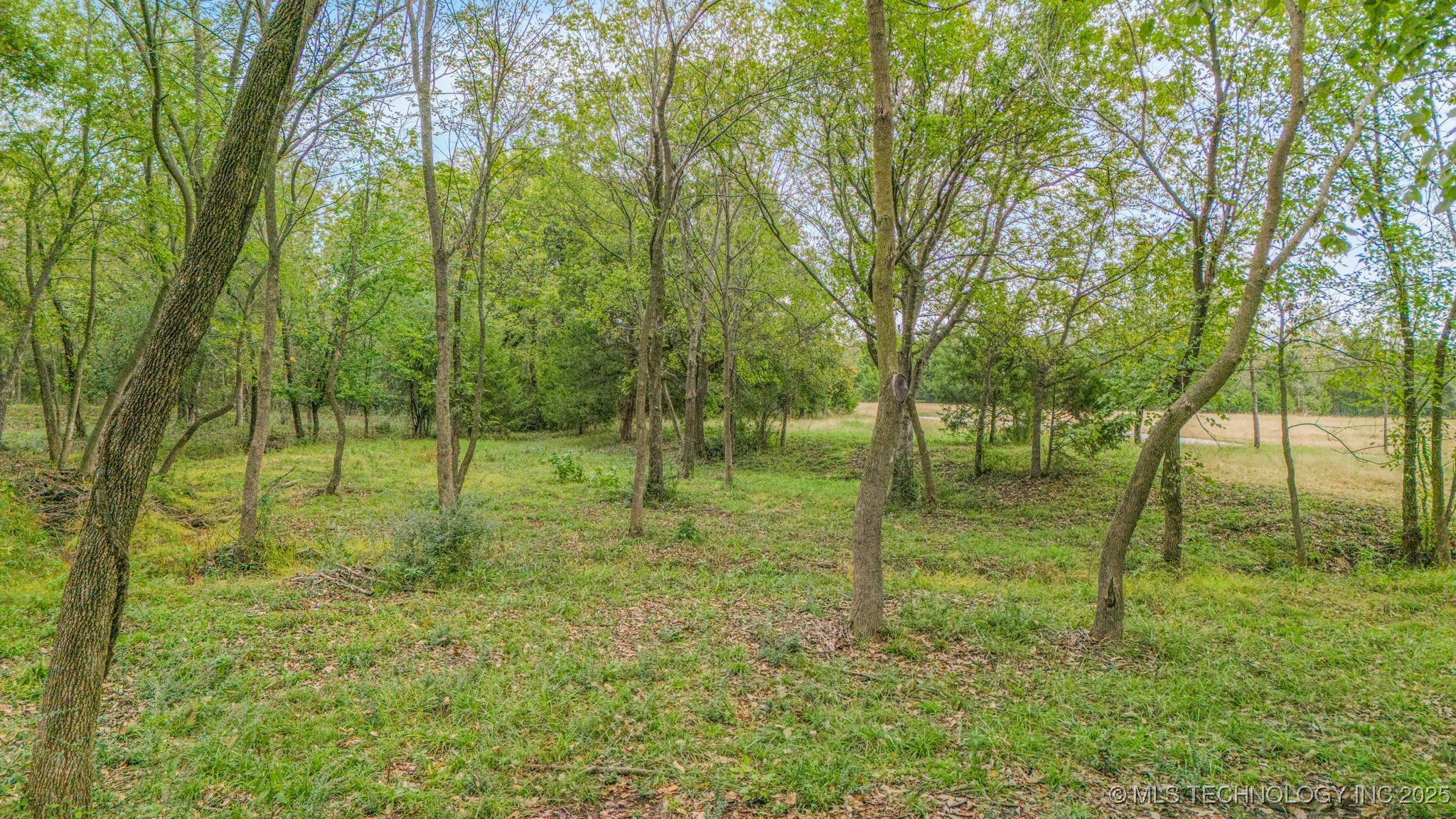 69 W 53rd Street Property Photo 15