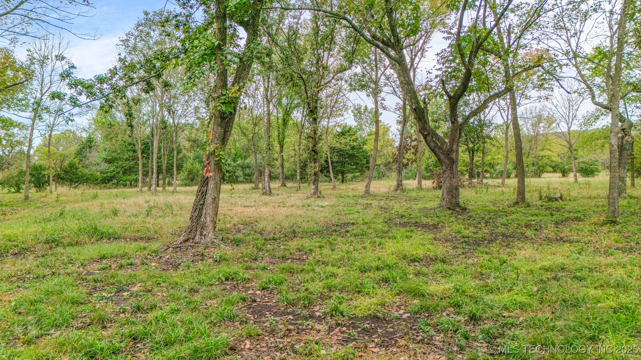 69 W 53rd Street Property Photo 22