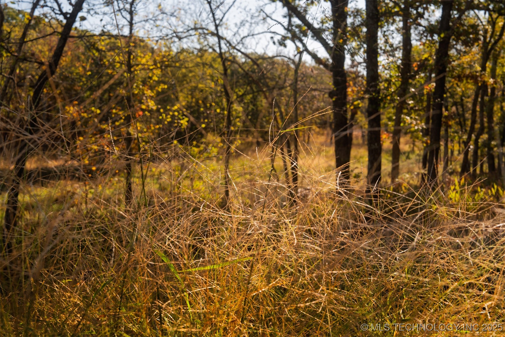 080 260th Street Property Photo 7