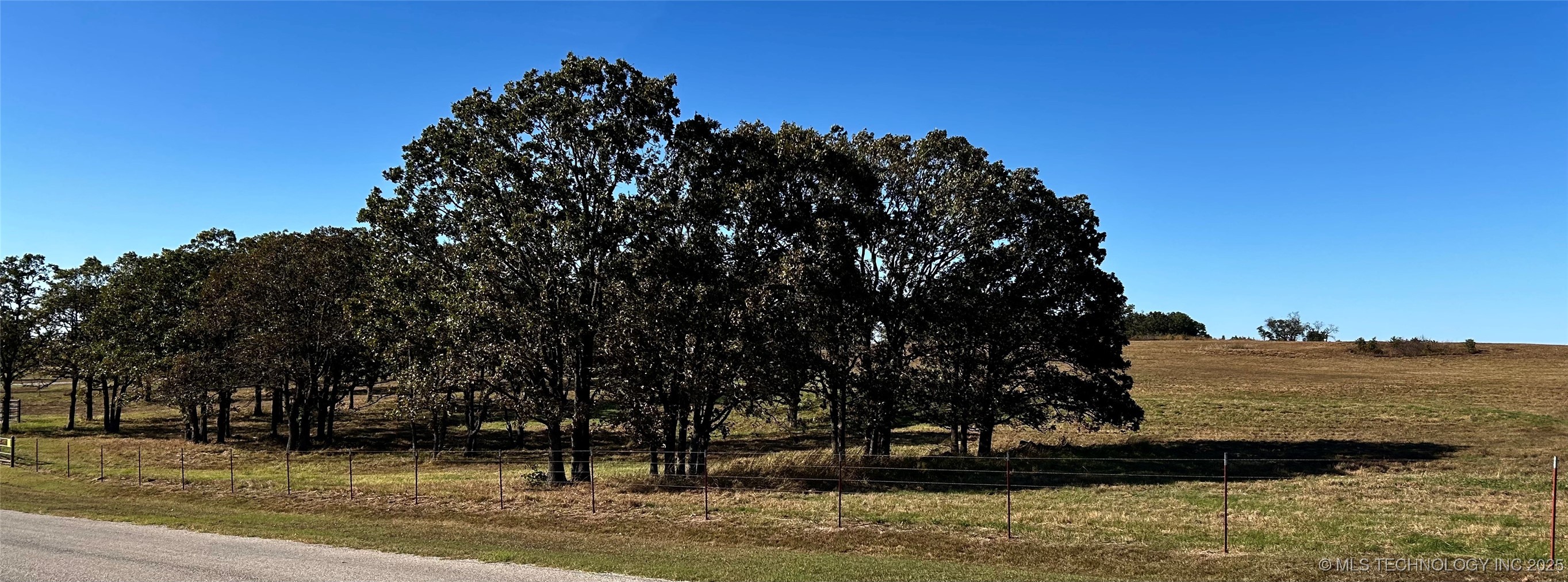 164 County Road 2280 Property Photo 6