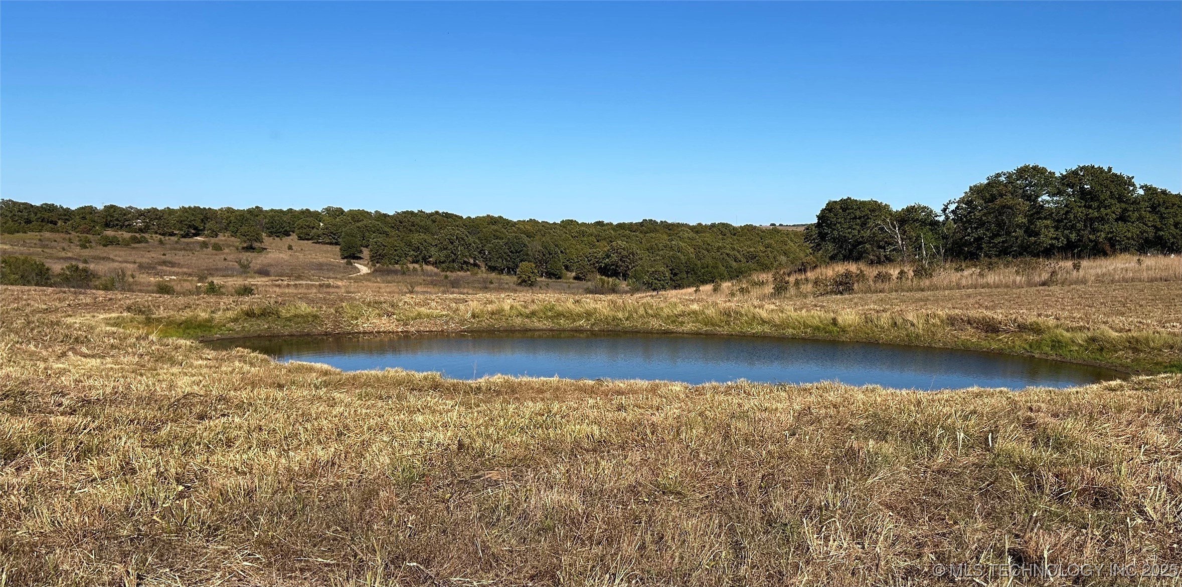 164 County Road 2280 Property Photo 7