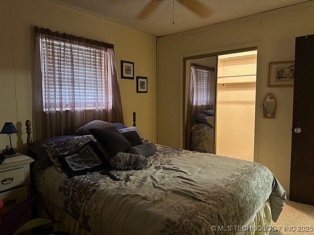 74128 Buckeye Road Property Photo 41