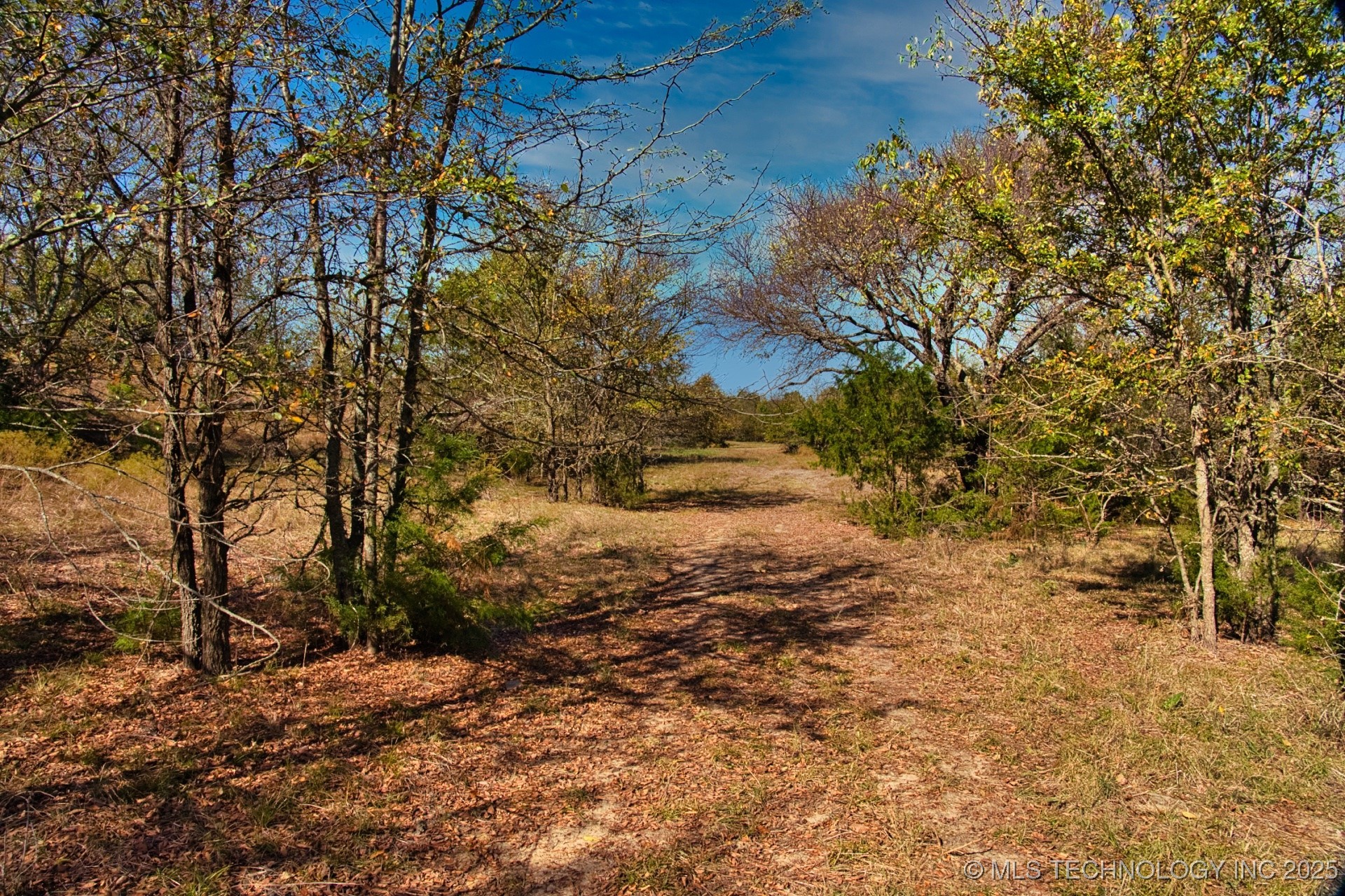 2544785 Property Photo 42