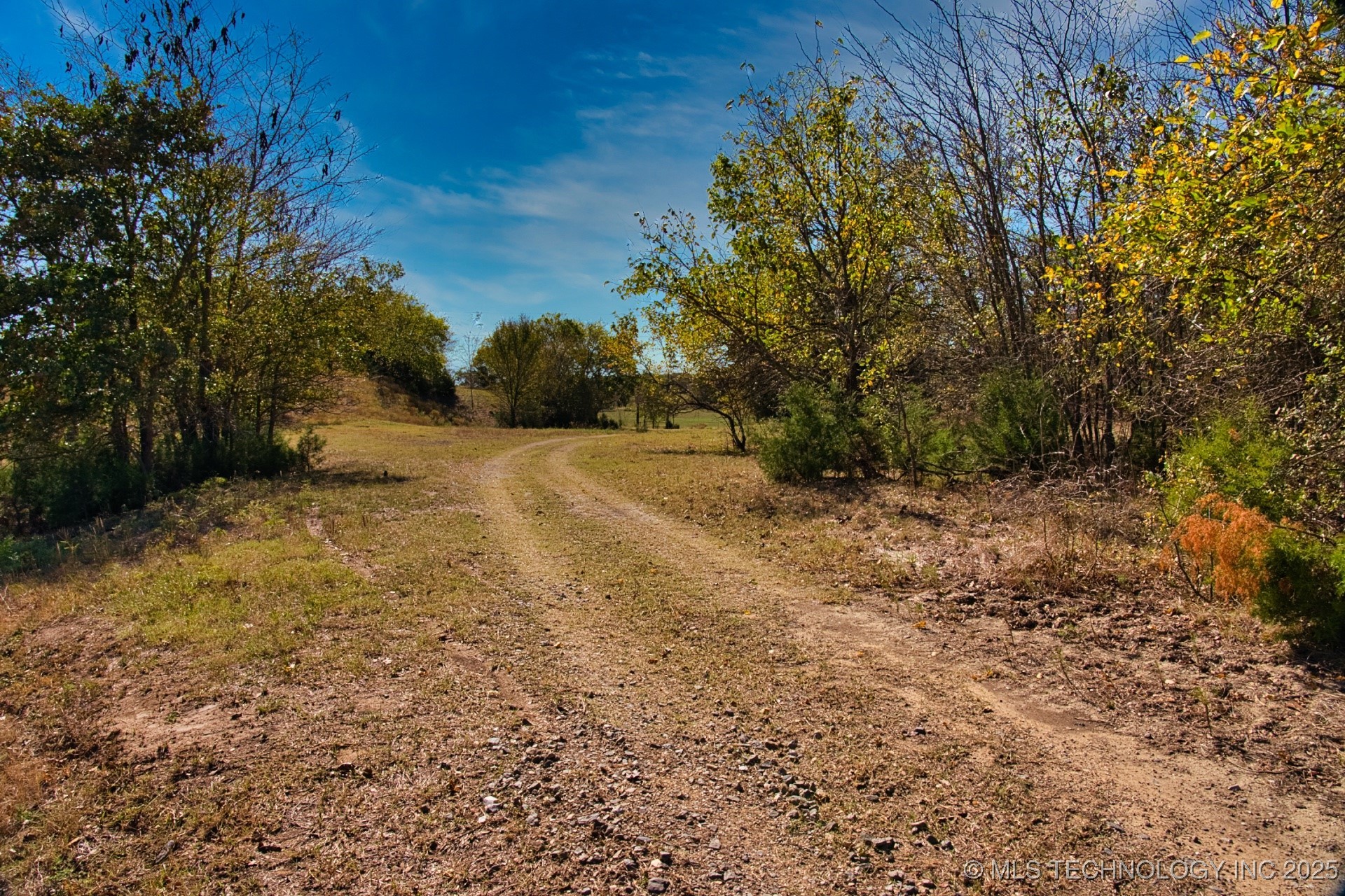 2544785 Property Photo 43