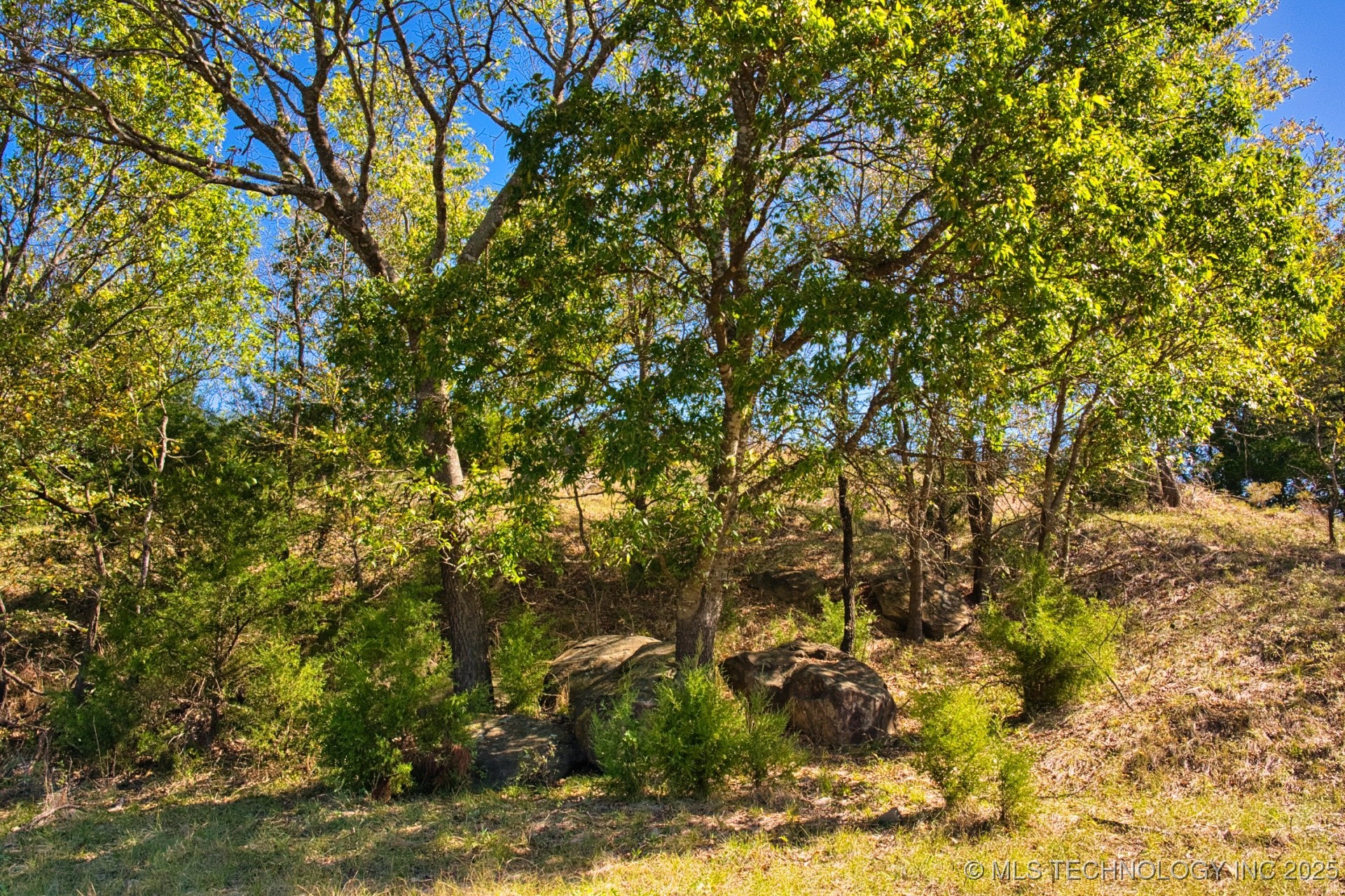 2544785 Property Photo 47