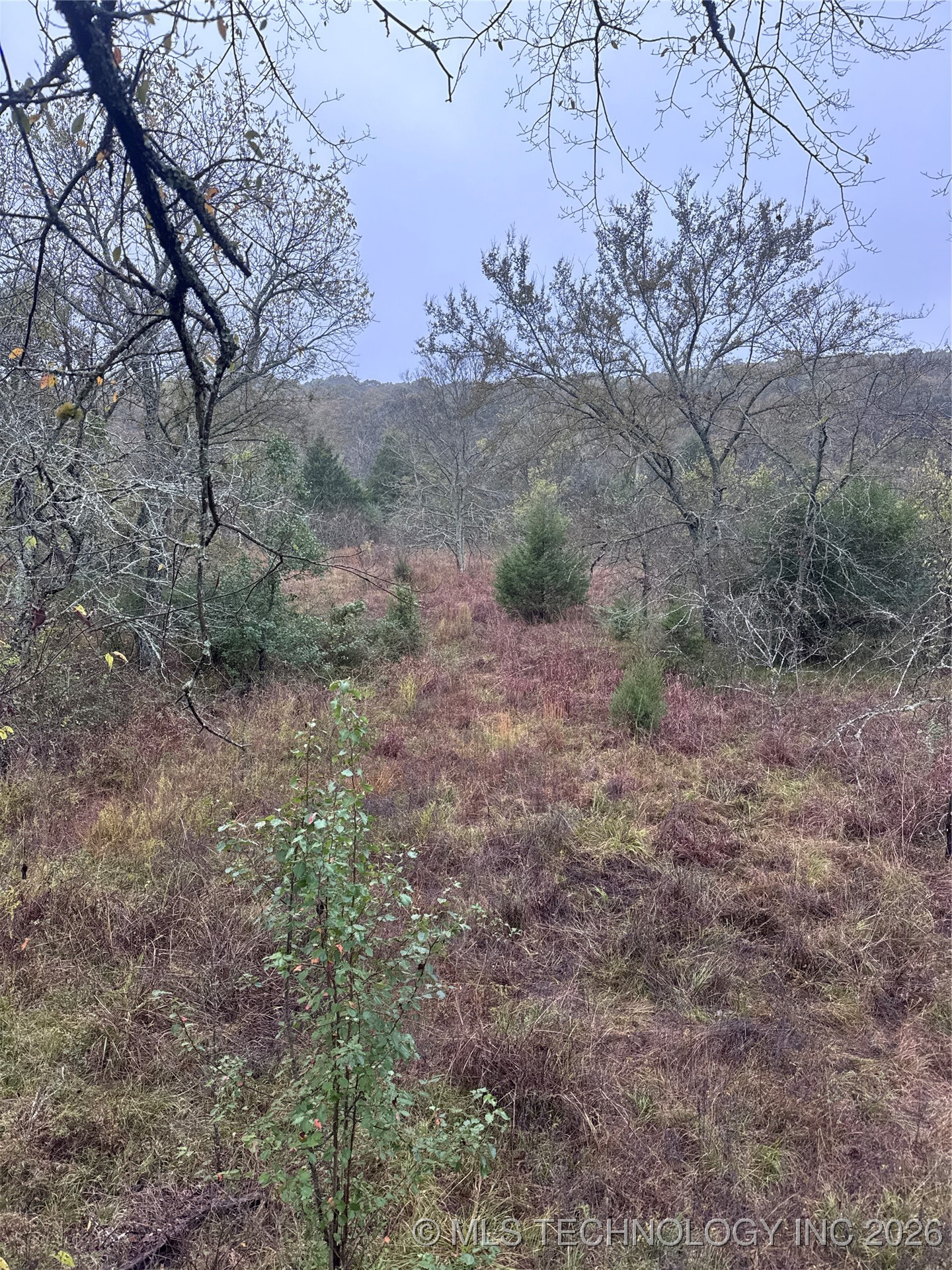 Webster Road Property Photo 2