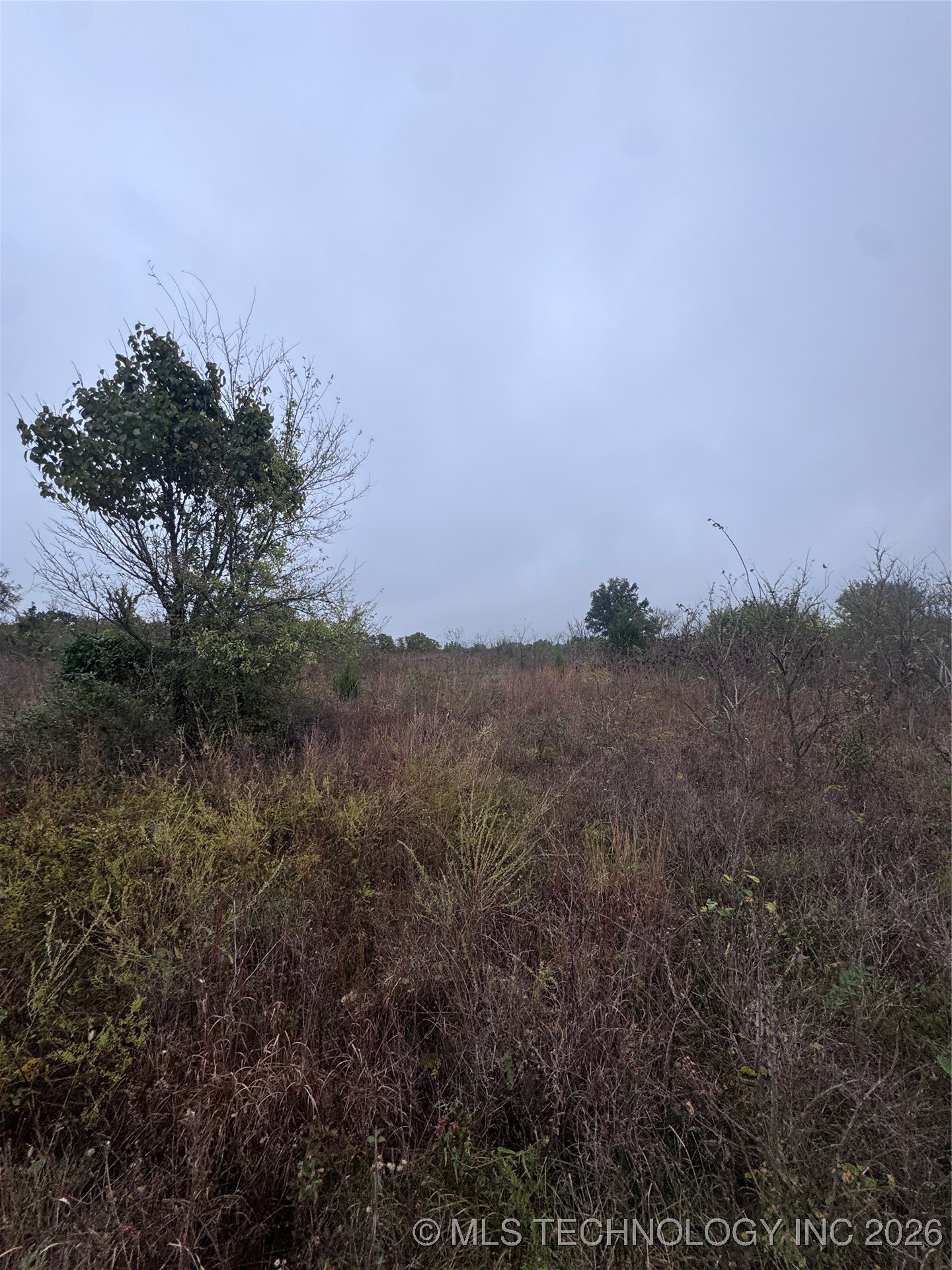 Webster Road Property Photo 3