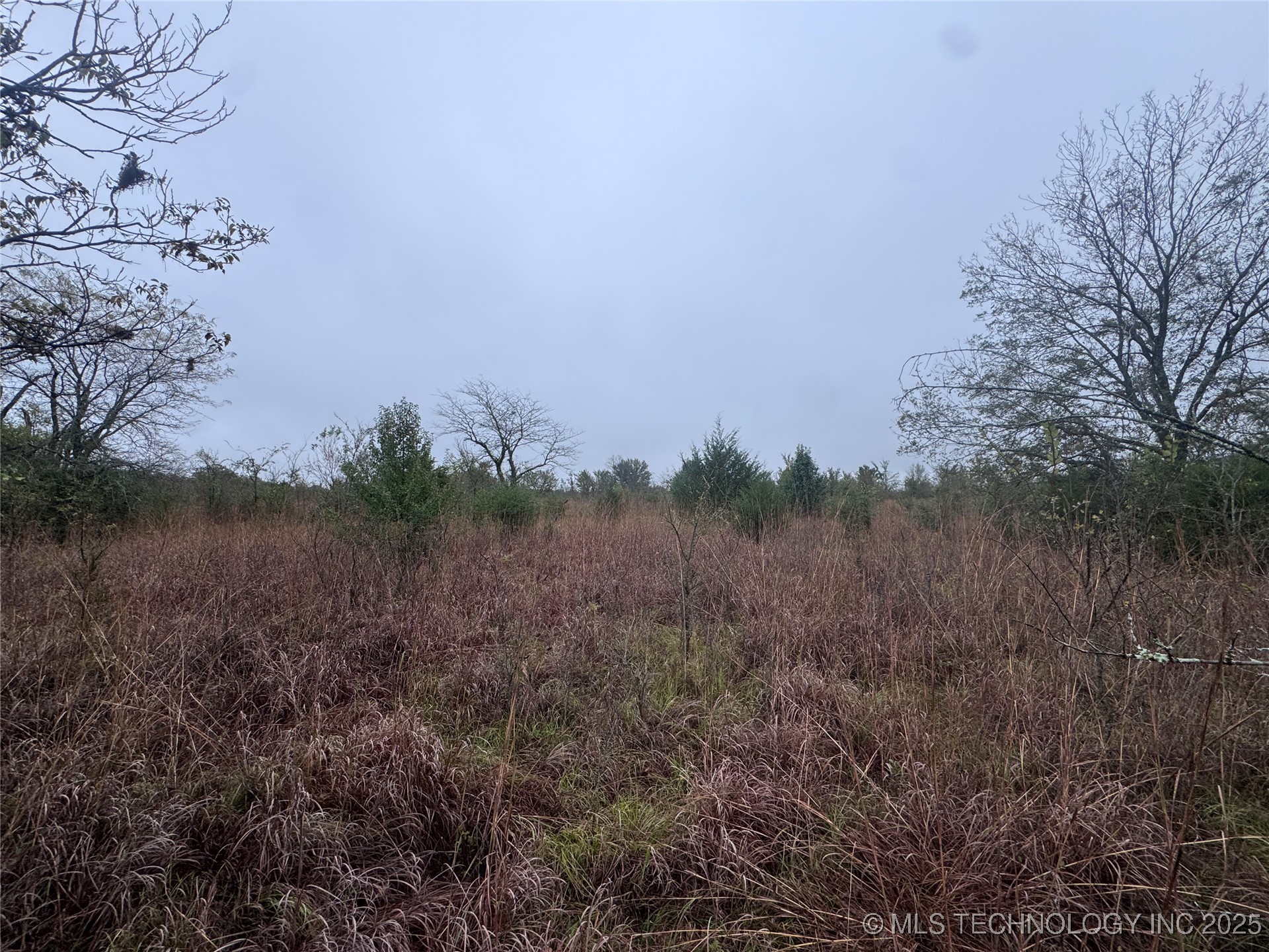 Webster Road Property Photo 4