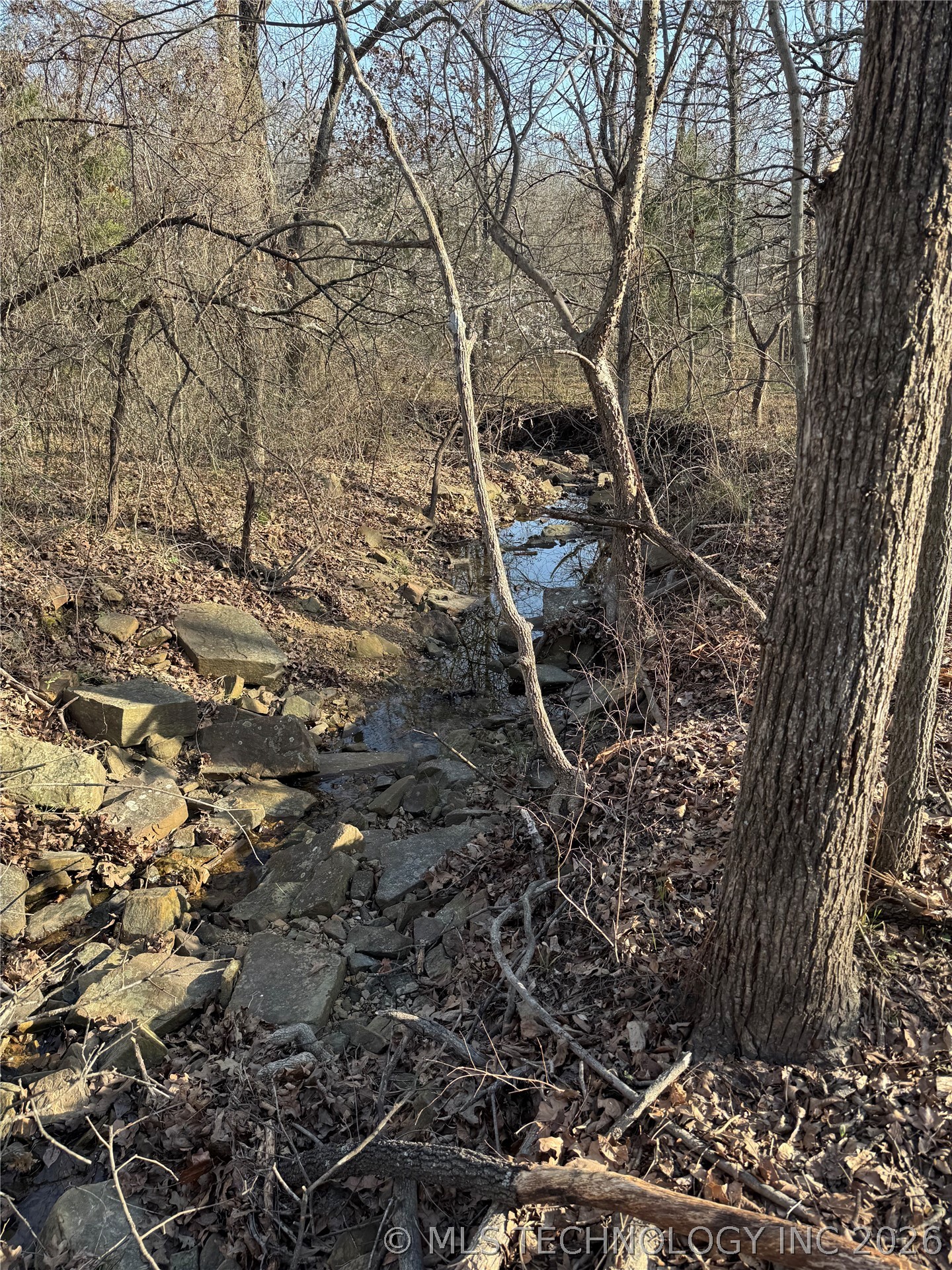 16902 W 59th Street S Property Photo 5