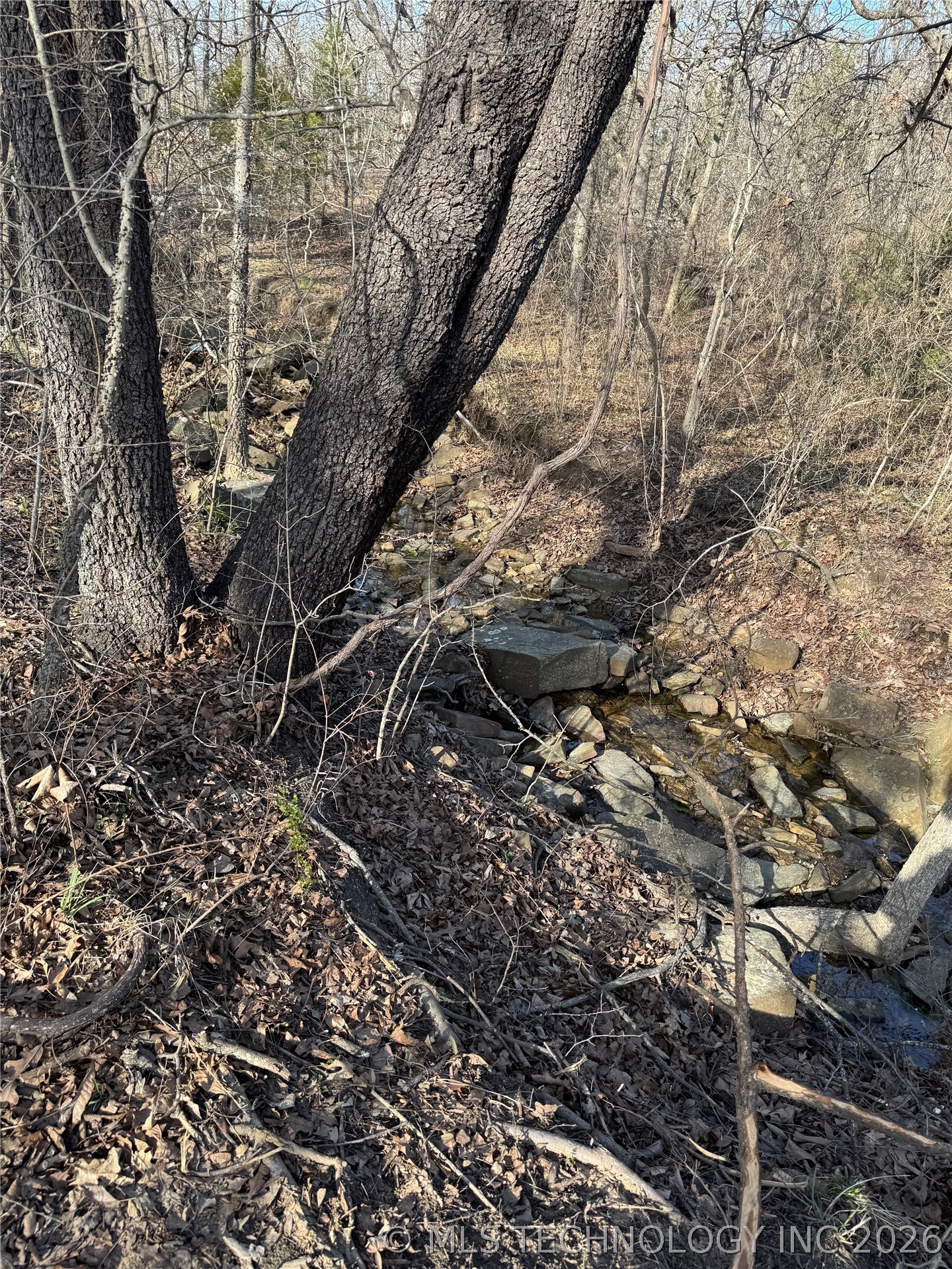 16902 W 59th Street S Property Photo 6