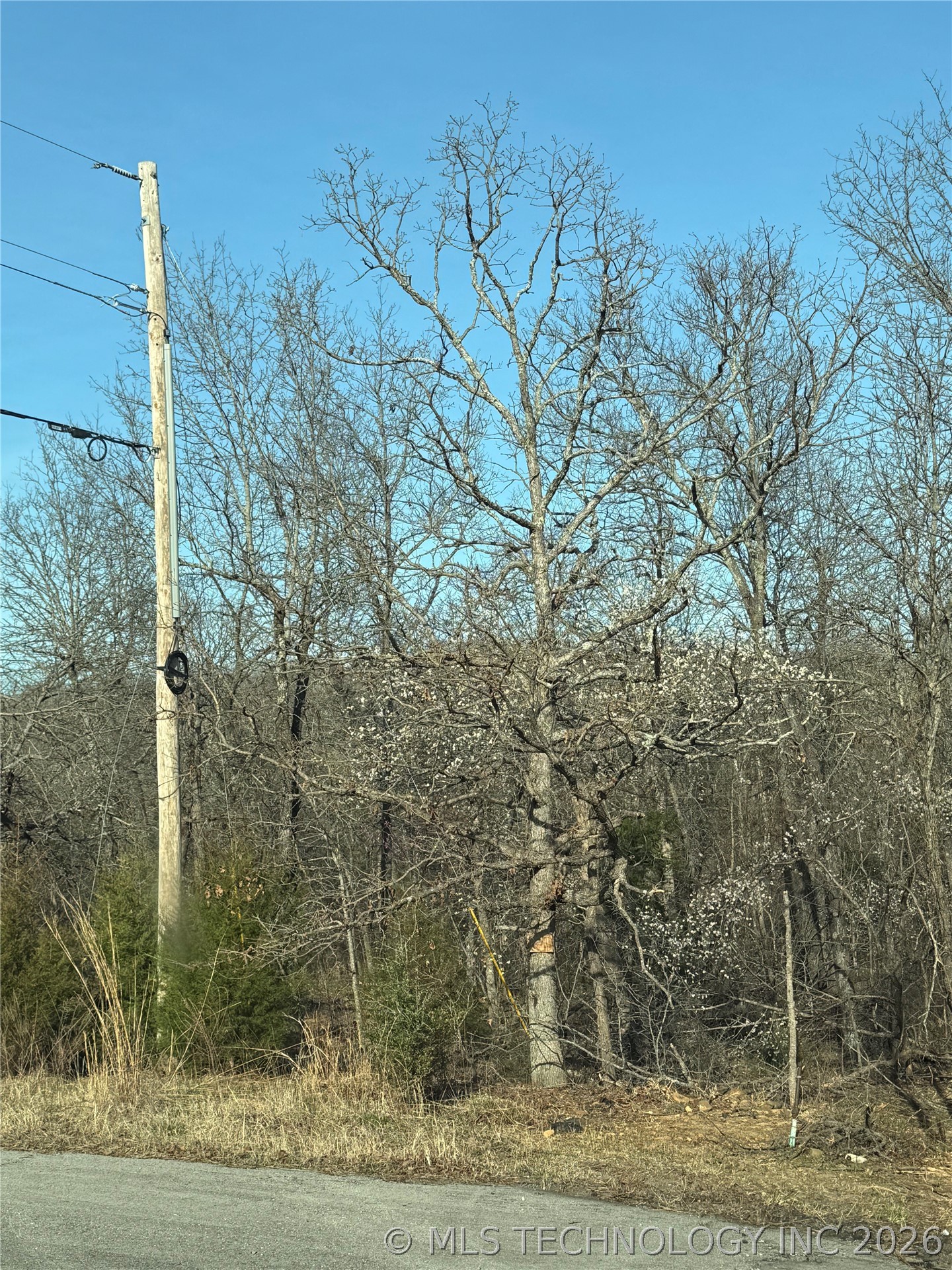 16902 W 59th Street S Property Photo 7