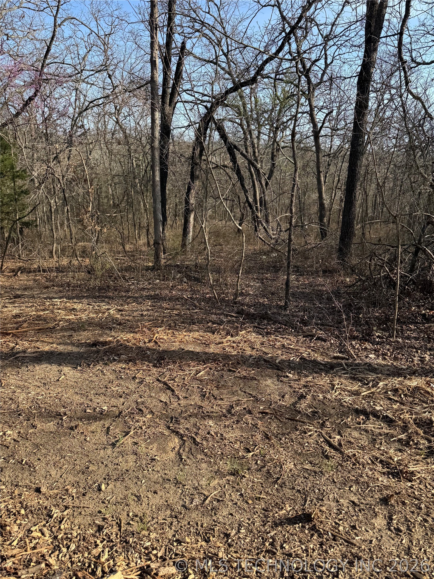 16902 W 59th Street S Property Photo 8