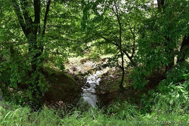 0 Cary Lane Property Photo 3