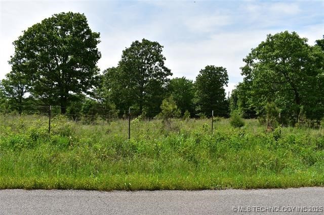 0 Cary Lane Property Photo 4