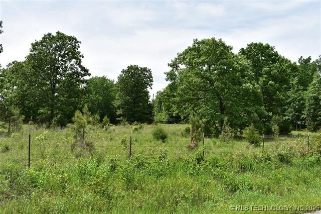 0 Cary Lane Property Photo 5