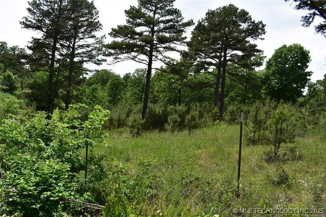 0 Cary Lane Property Photo 7