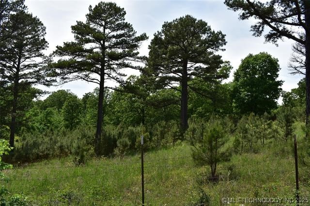 0 Cary Lane Property Photo 8