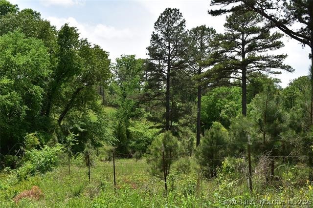 0 Cary Lane Property Photo 9