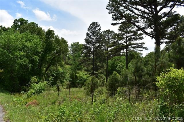 0 Cary Lane Property Photo 10