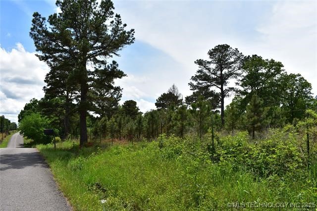 0 Cary Lane Property Photo 11