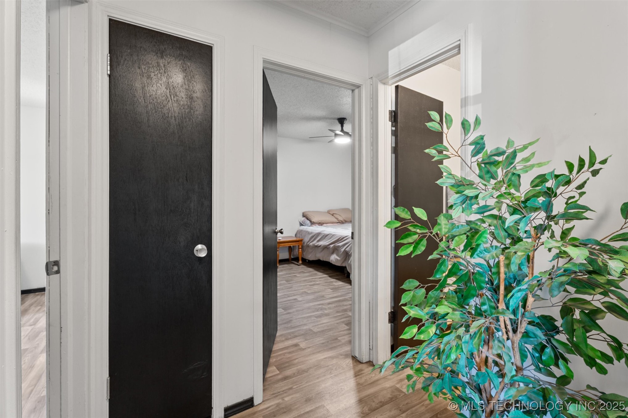 4202 W Pipe Stem Drive Property Photo 8