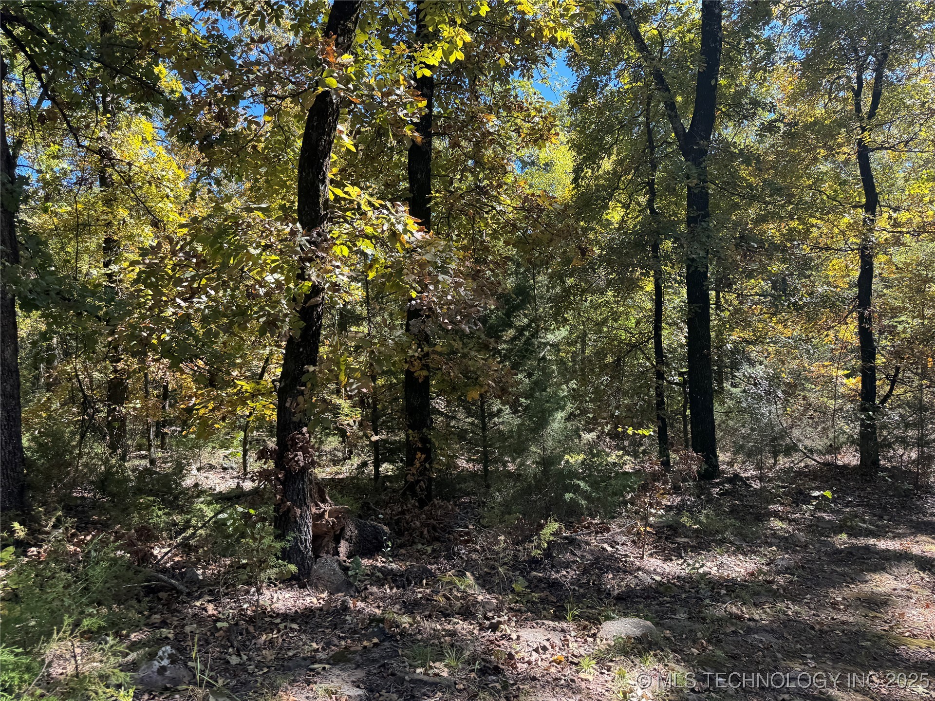 5 W 867 Road Property Photo 13