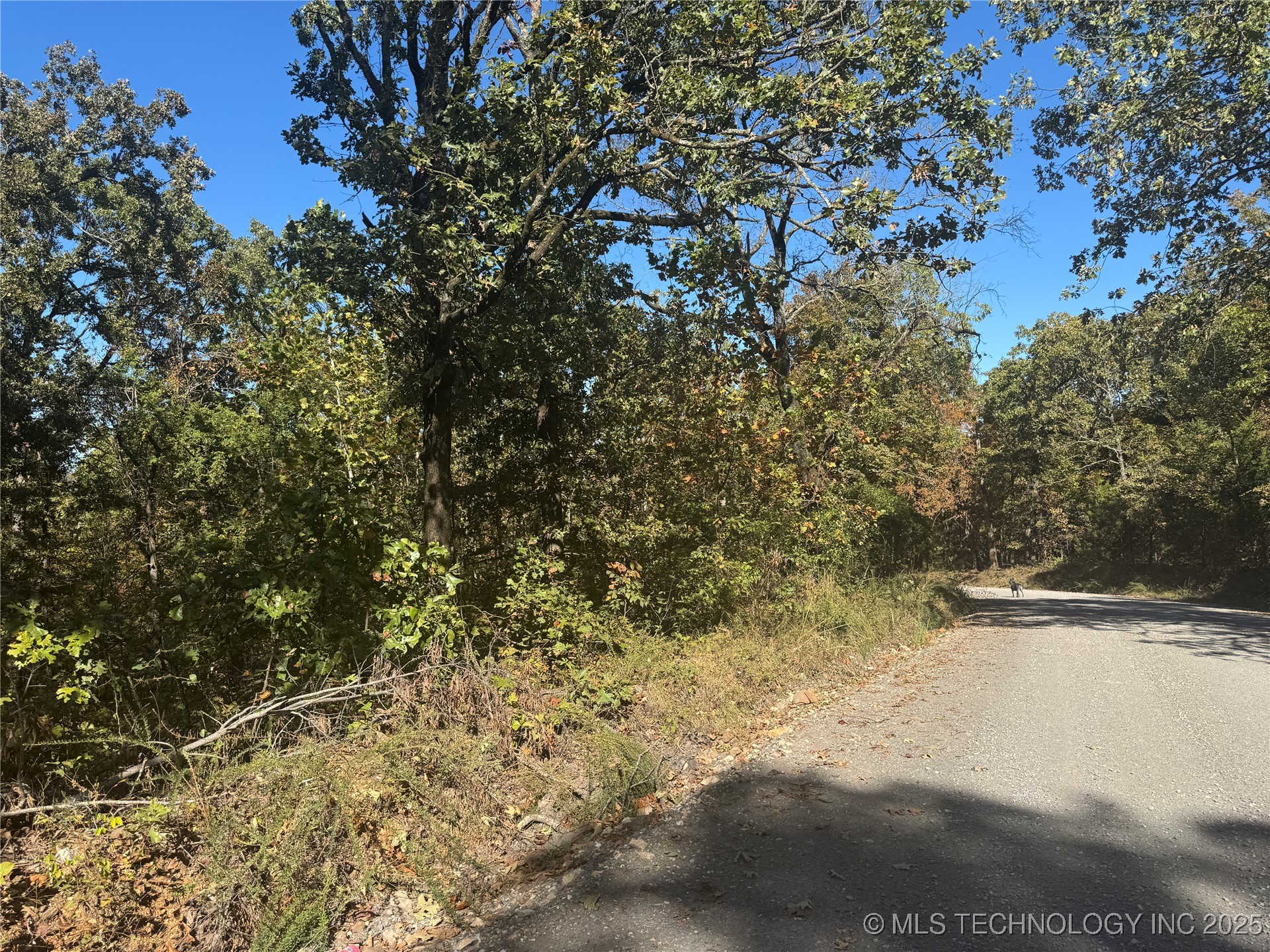 5 W 867 Road Property Photo 15