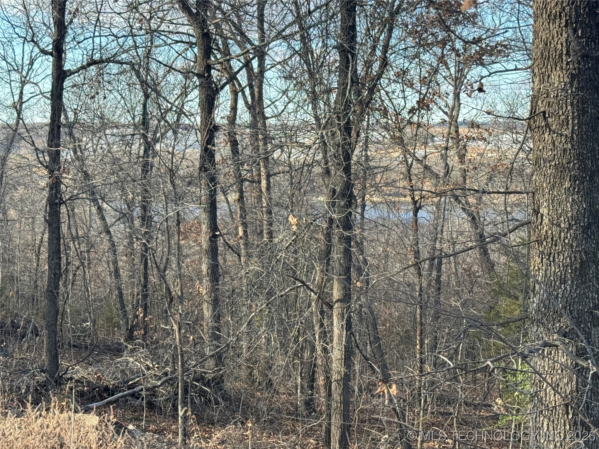 5 W 867 Road Property Photo 18