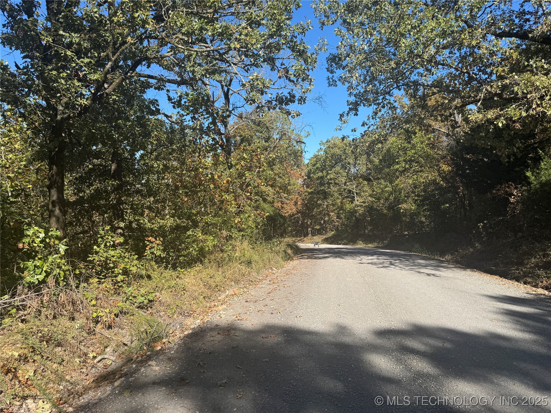 6 W 867 Road Property Photo 15