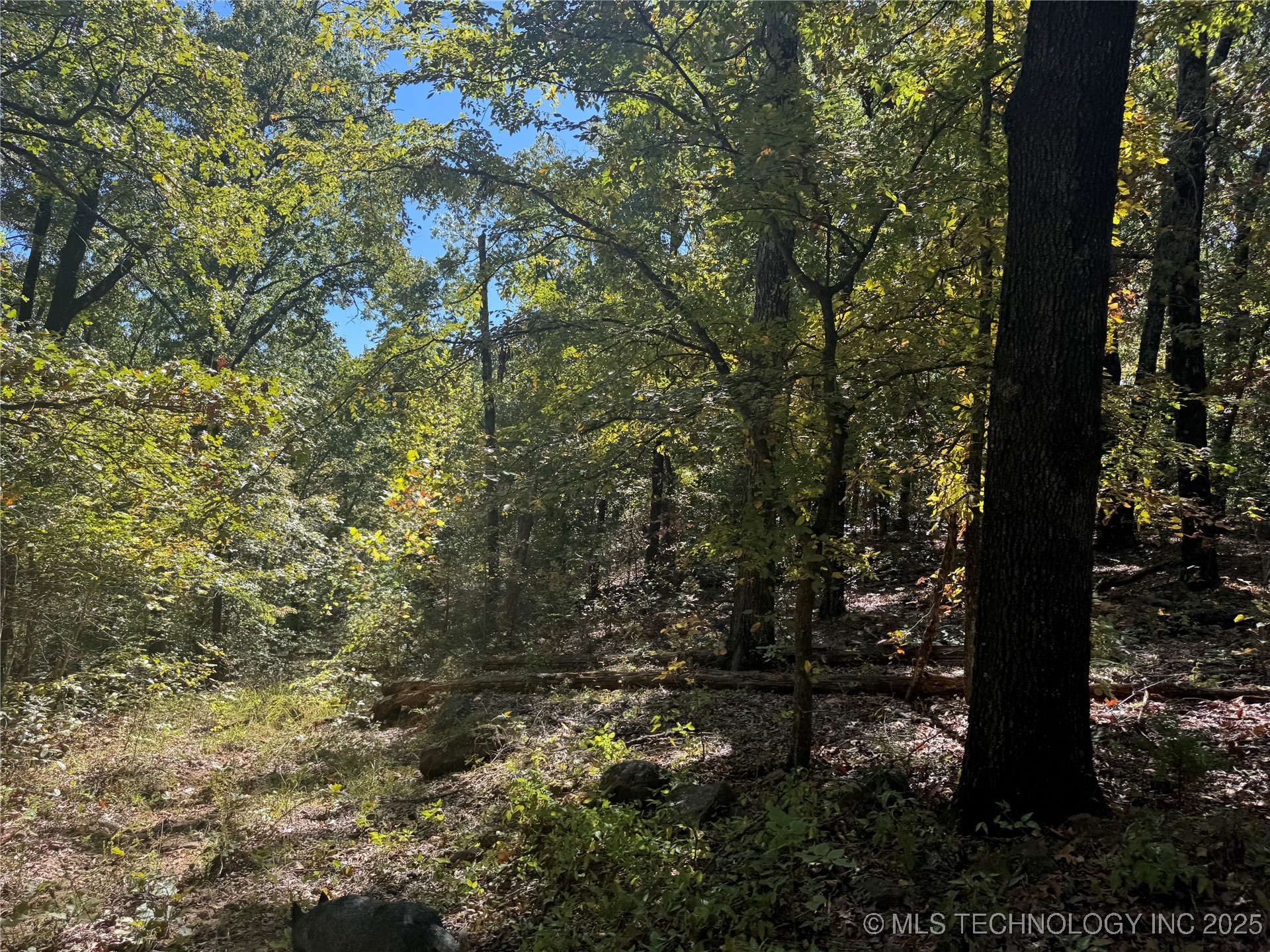 7 W 867 Road Property Photo 15