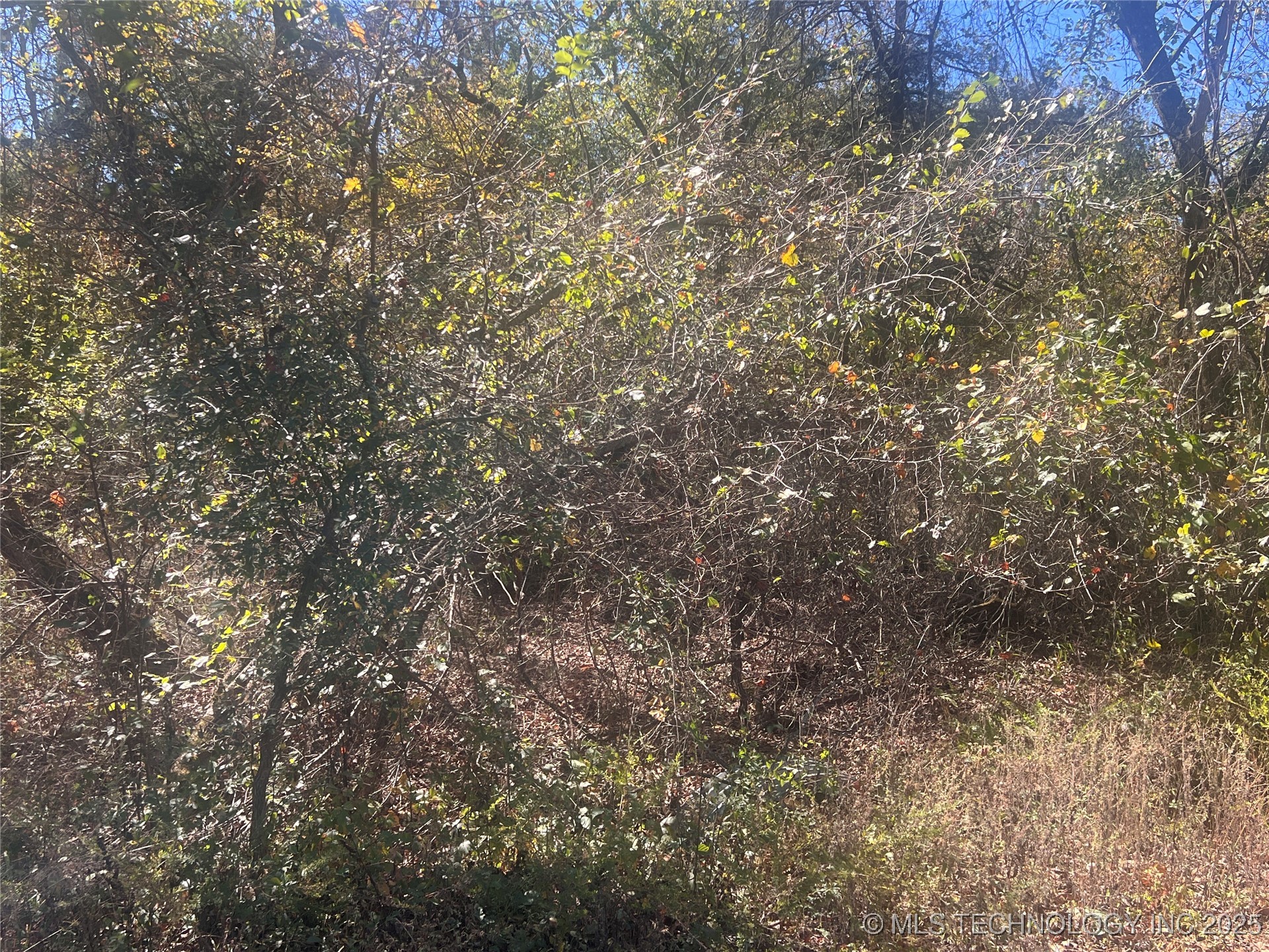 State Hwy 71 Property Photo 4