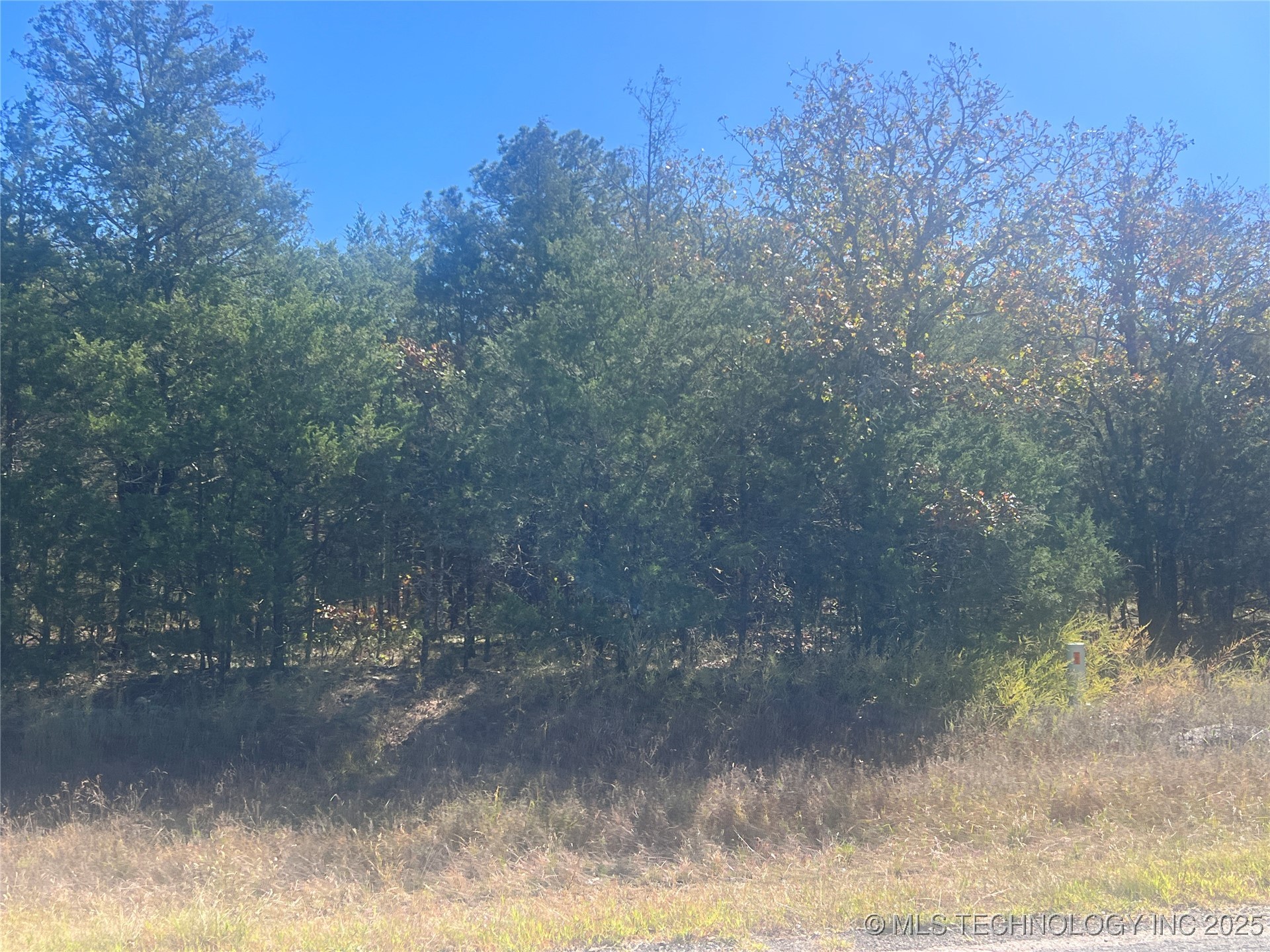 State Hwy 71 Property Photo 6