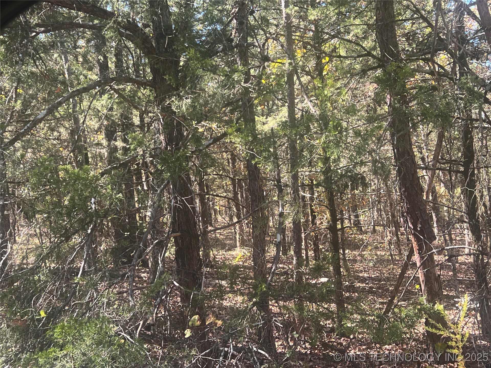 State Hwy 71 Property Photo 8