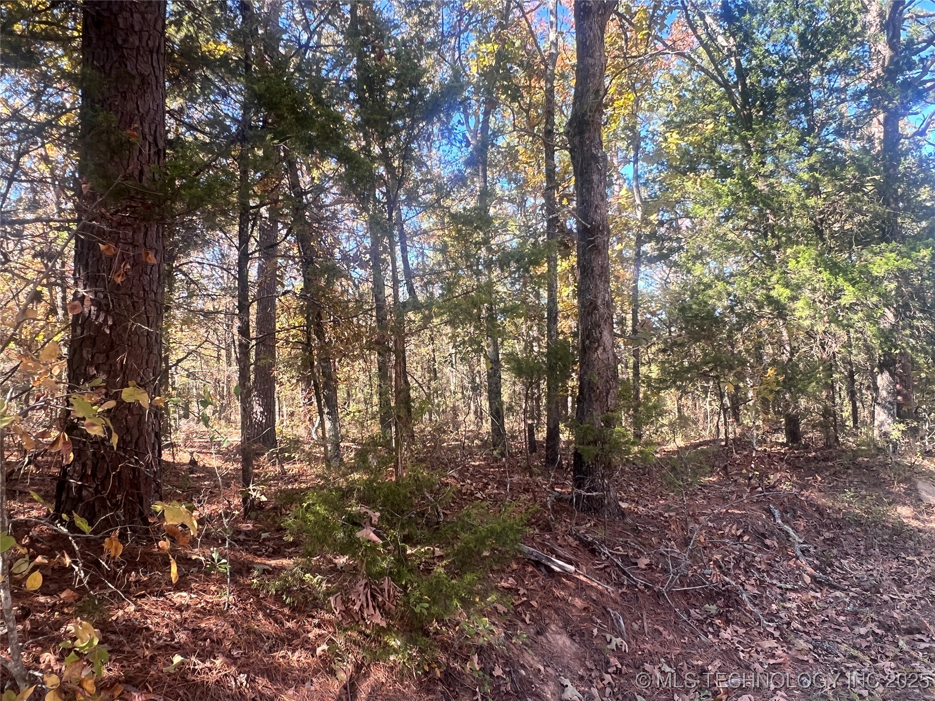 State Hwy 71 Property Photo 10