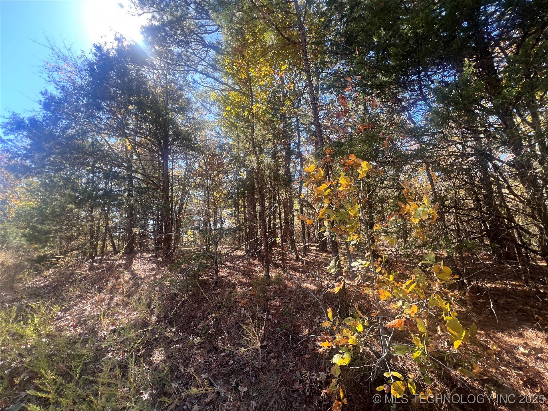 State Hwy 71 Property Photo 11