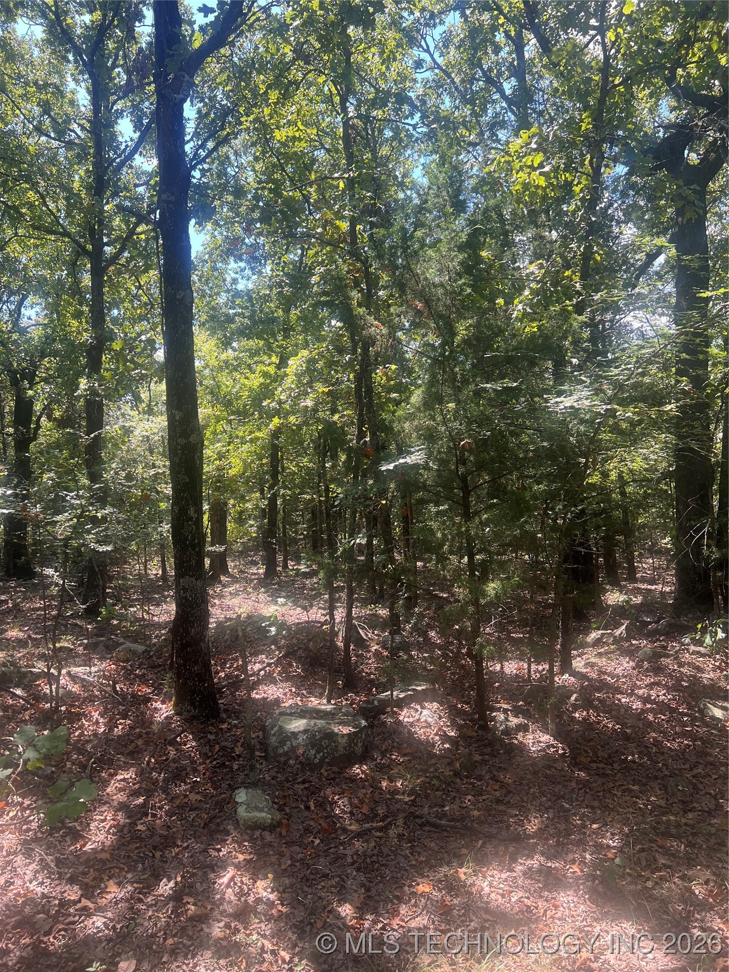 S 4494 Property Photo 6