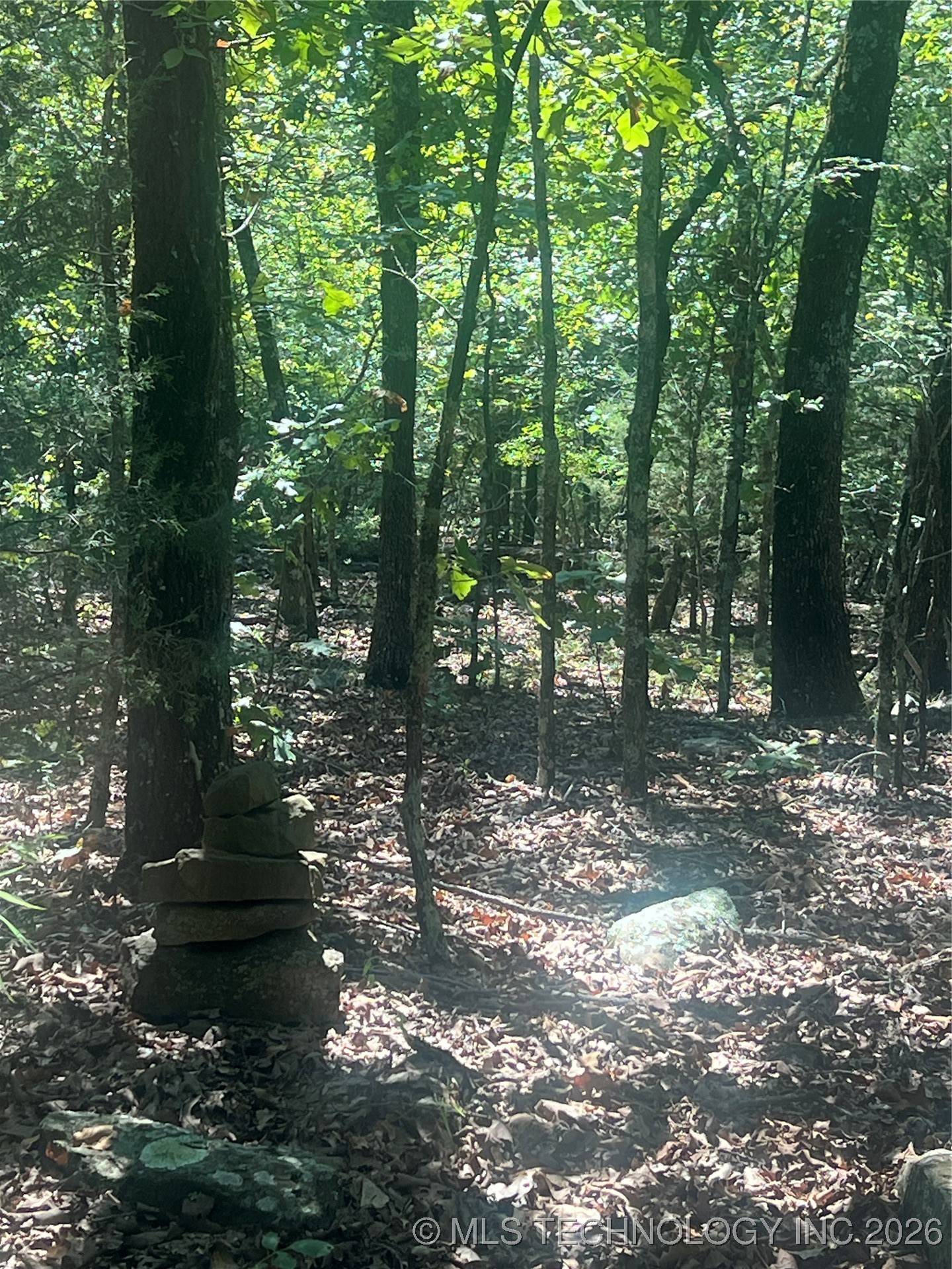 S 4494 Property Photo 9