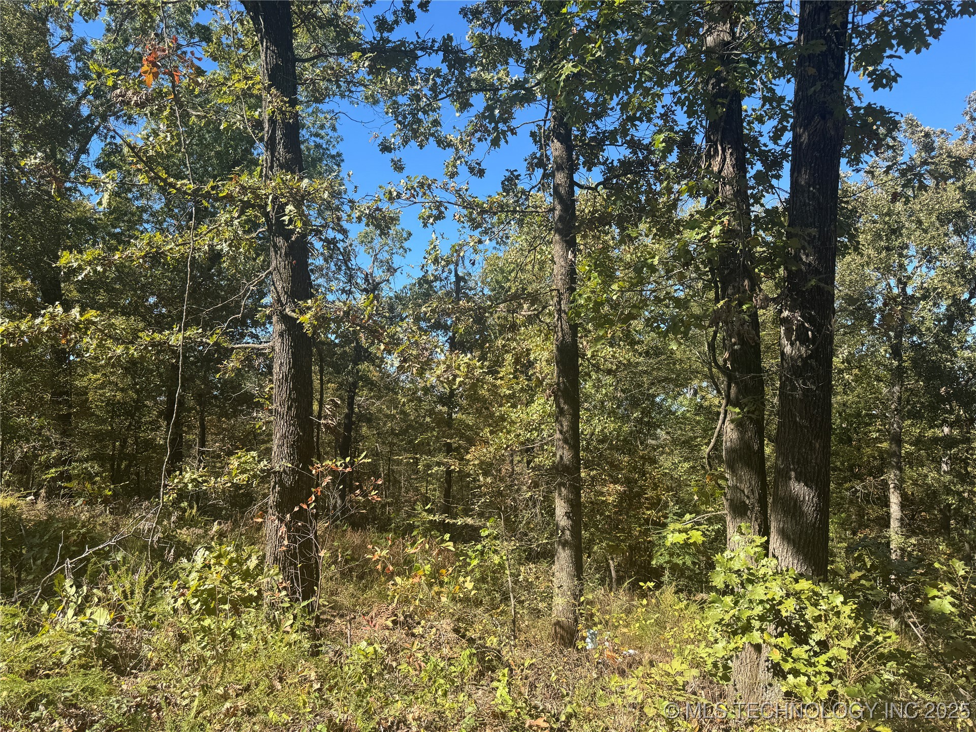 2 W 867 Road Property Photo 16