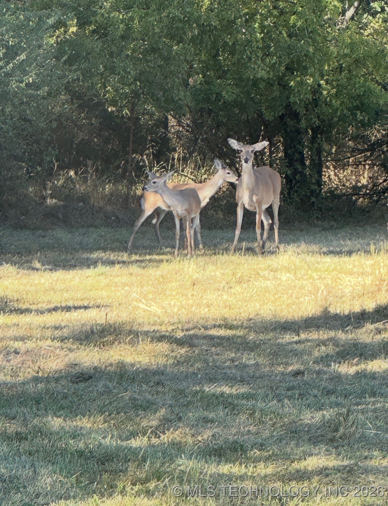 2721 E 61st Street N Property Photo 13