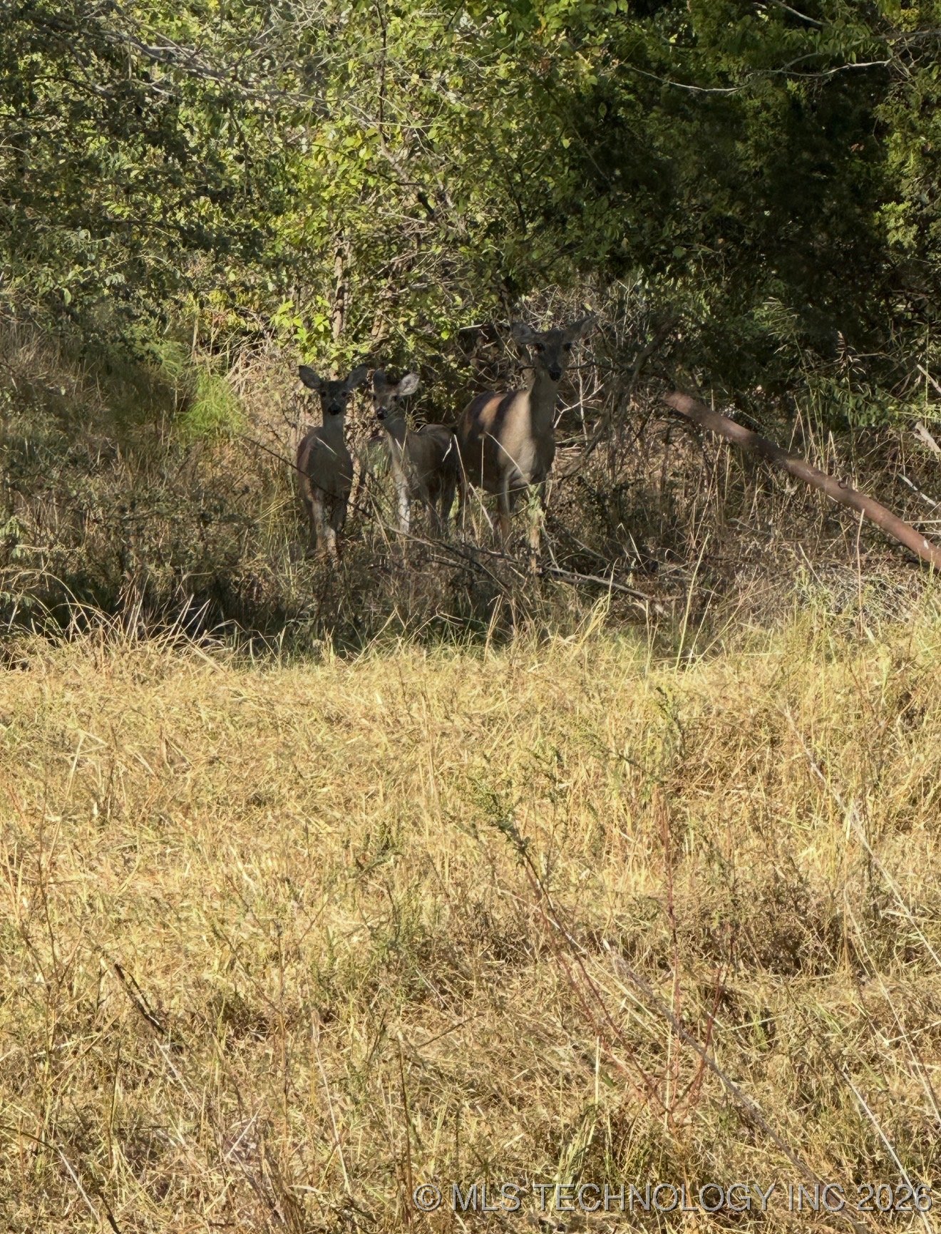 2721 E 61st Street N Property Photo 16